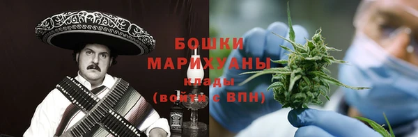 PSILOCYBIN Абаза