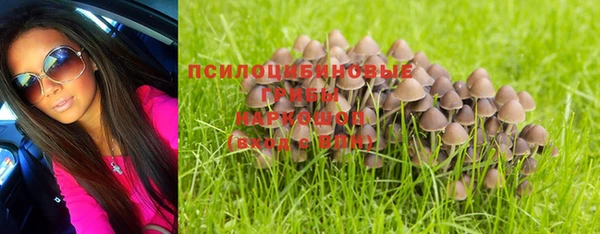 мдма Приозерск