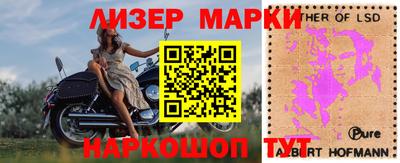 шишки Берёзовский