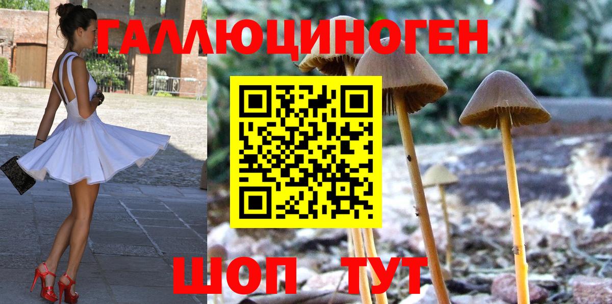 Псилоцибиновые грибы Psilocybe Дедовск