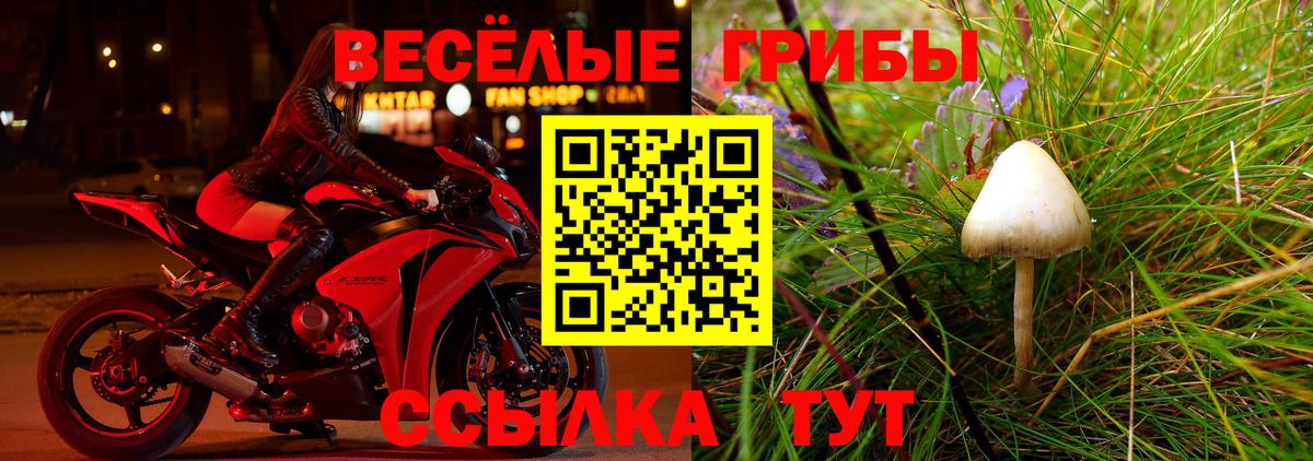 где продают наркотики  Дедовск  Галлюциногенные грибы MAGIC MUSHROOMS 